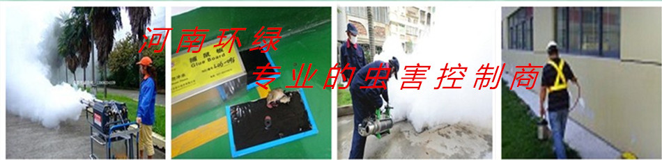 怎樣滅蚊子 - 新鄉(xiāng)滅鼠公司丨新鄉(xiāng)殺蟲公司